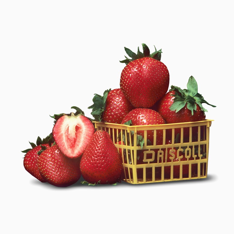 Da Lat Fresh Strawbery